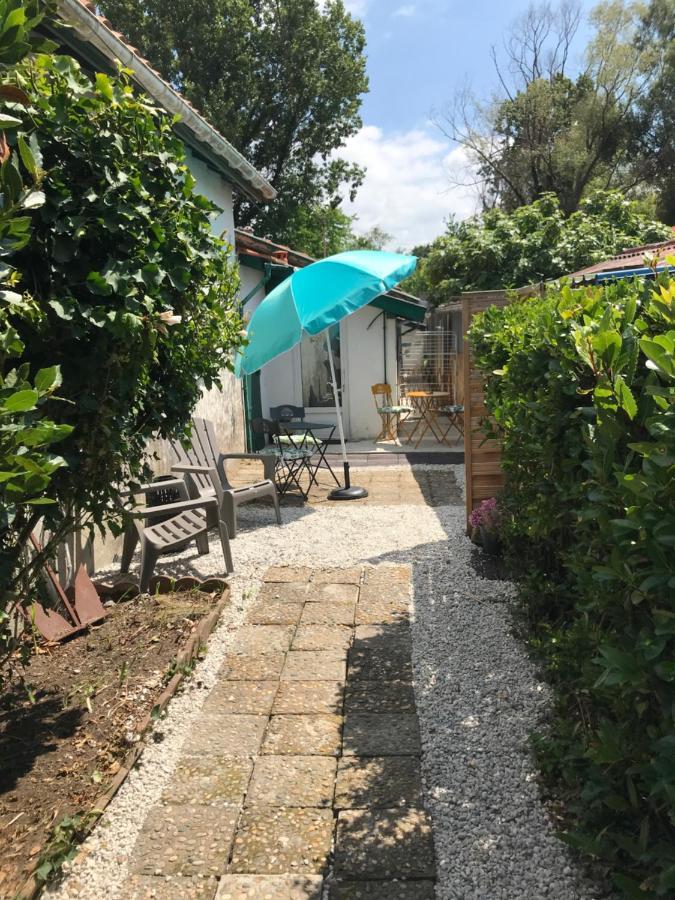 Appartement Entre Ocean Et Montagne 15Bis Avenue De Montbrun Anglet Ngoại thất bức ảnh